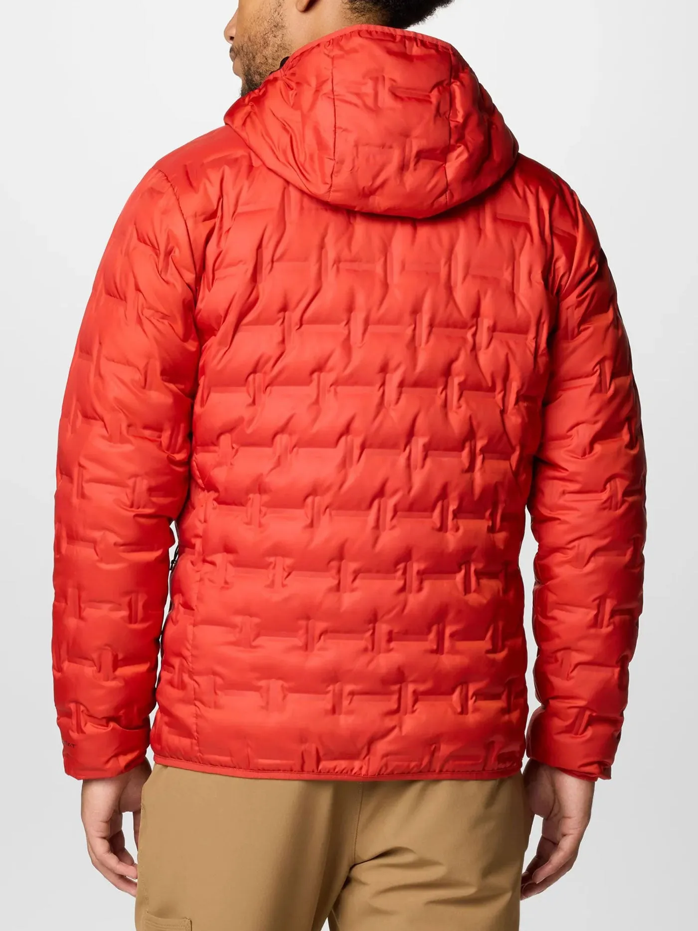 Delta Ridge II Down Hooded Jacket